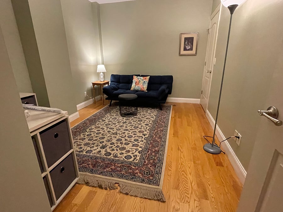 den/ second bedroom with walk-in closet