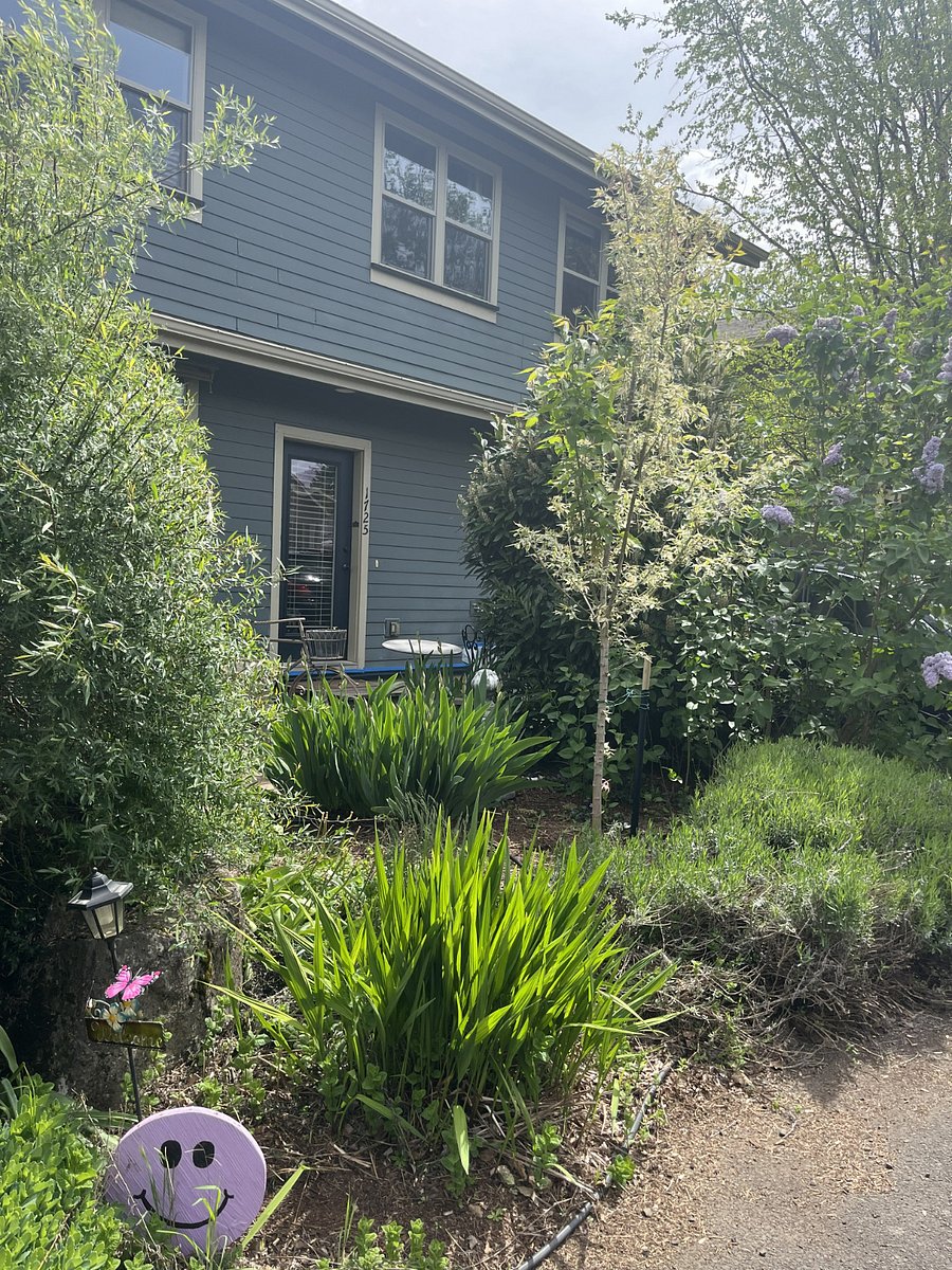 Furnished Finder property 484175_1 photo 29