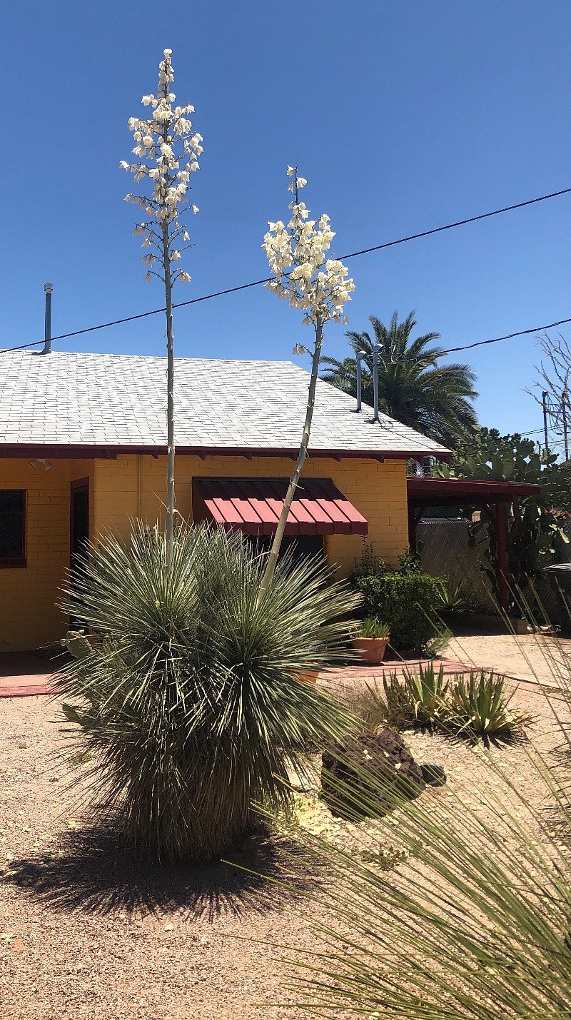 North unit, front of property
