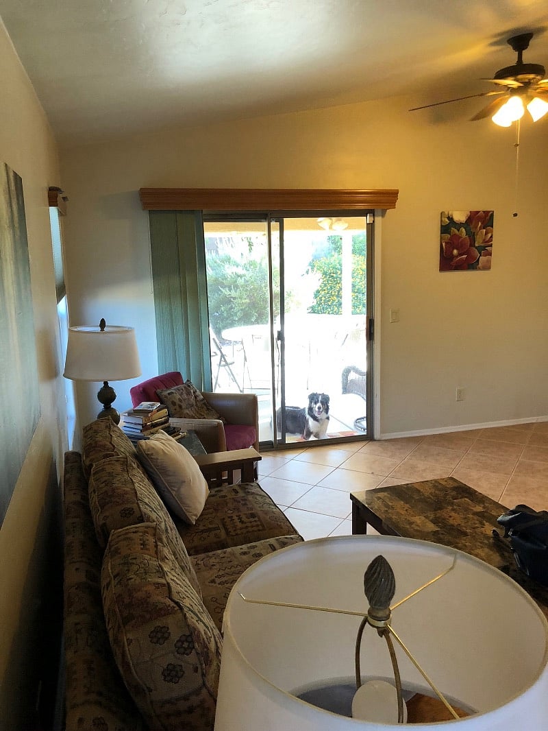 Furnished Finder property 484226_1 photo 14