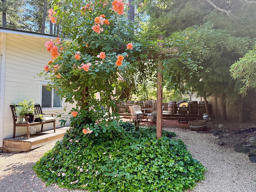 Furnished Finder property 484295_1 photo 14