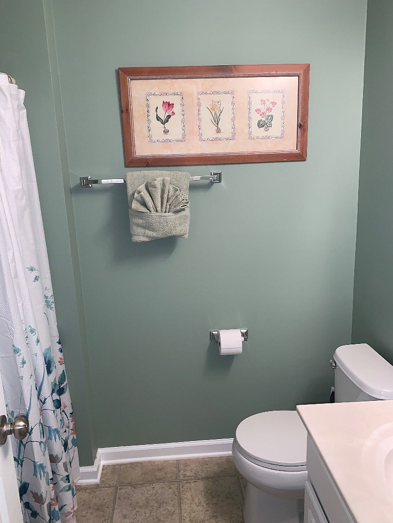 Furnished Finder property 484402_1 photo 19