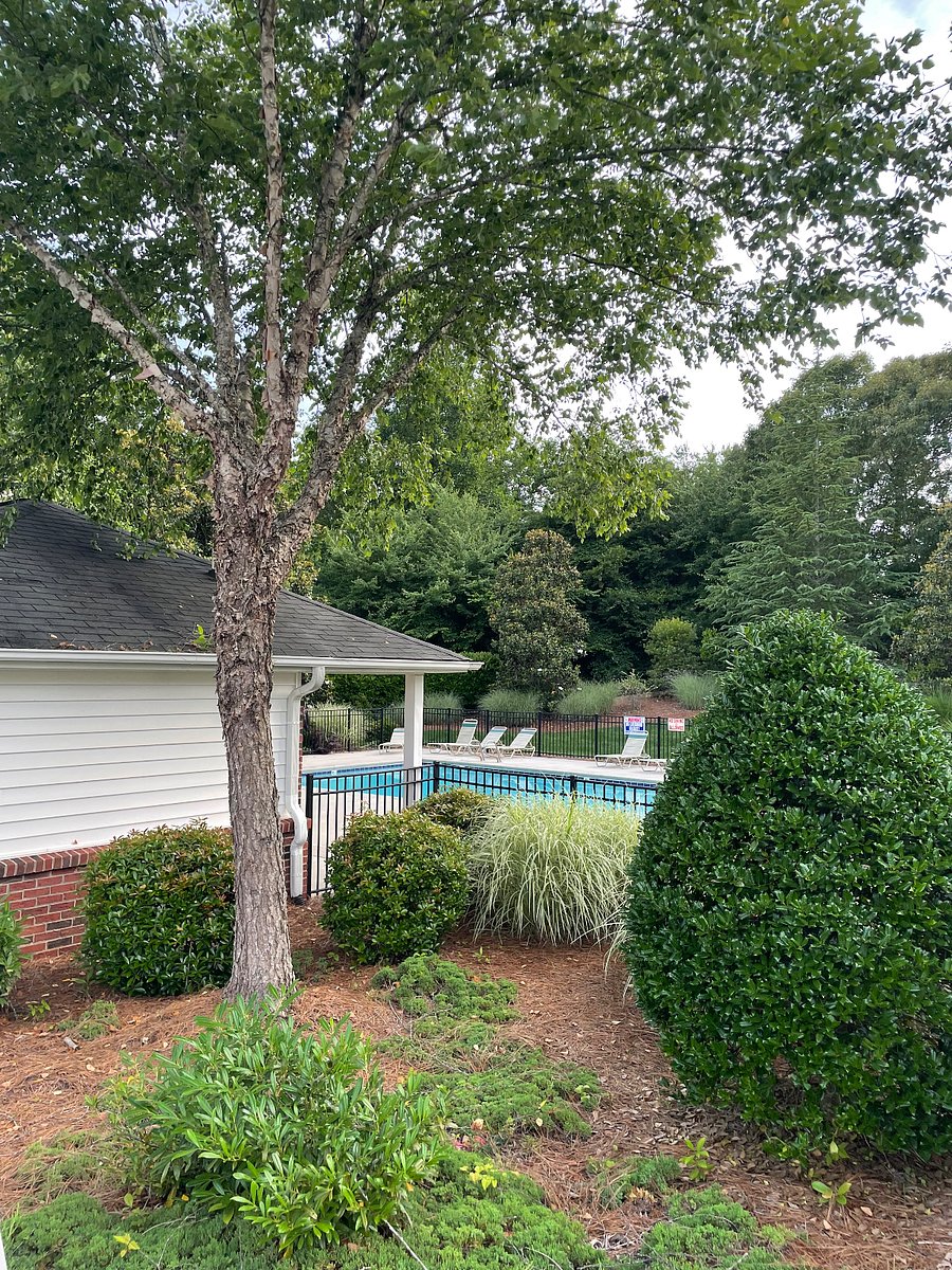 Furnished Finder property 484402_1 photo 22