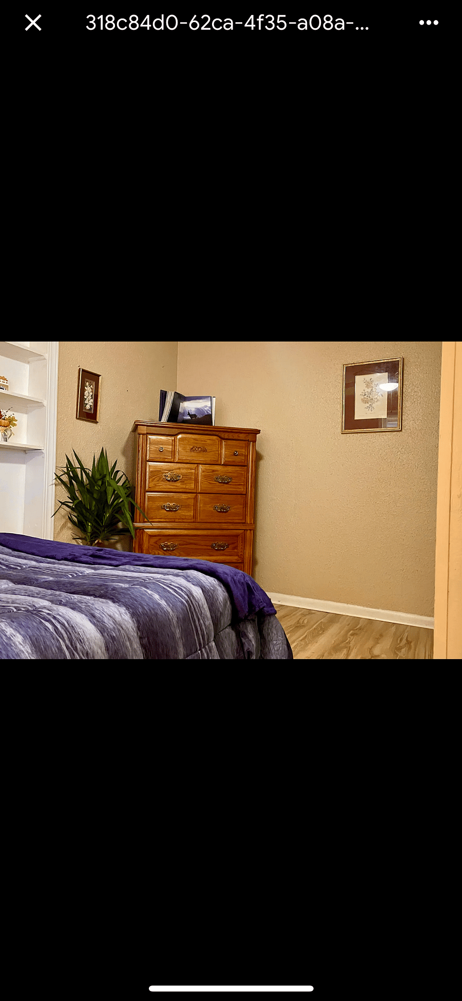 Furnished Finder property 484408_1 photo 7