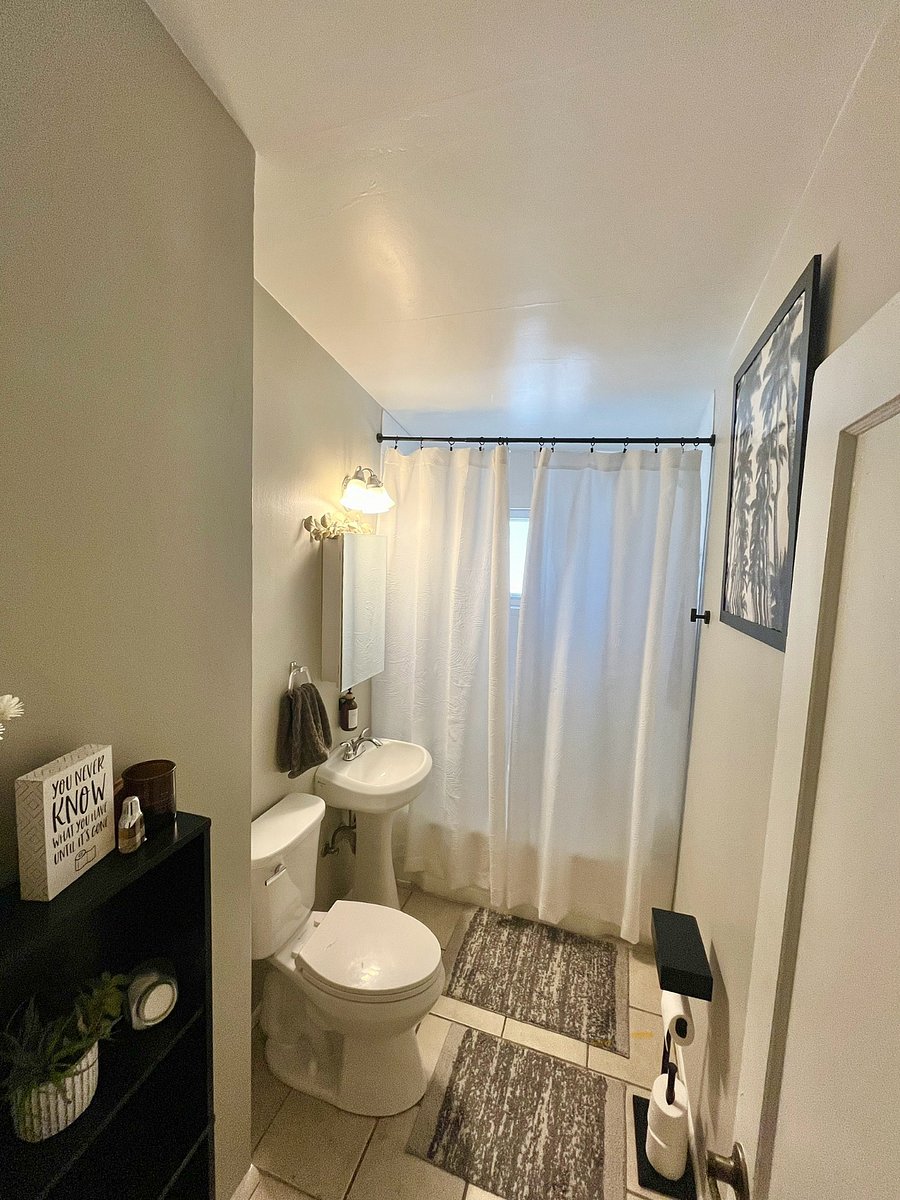 Furnished Finder property 484538_1 photo 20