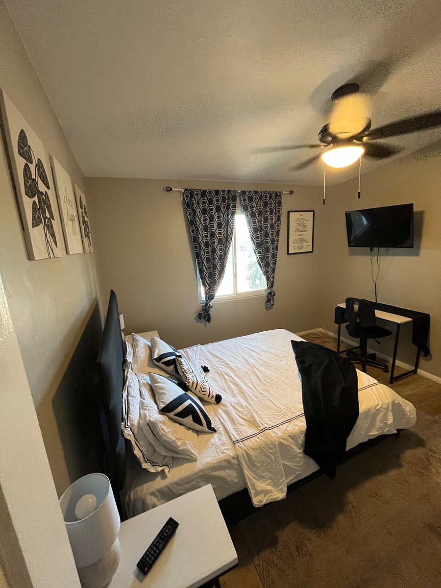 Furnished Finder property 484538_1 photo 28