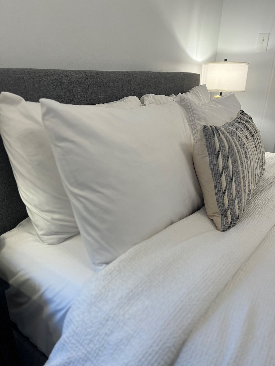 Furnished Finder property 484565_1 photo 18