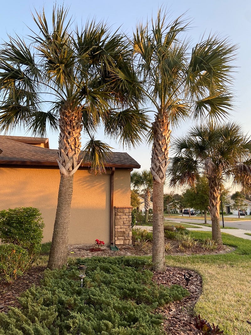 Furnished Finder property 484585_1 photo 43