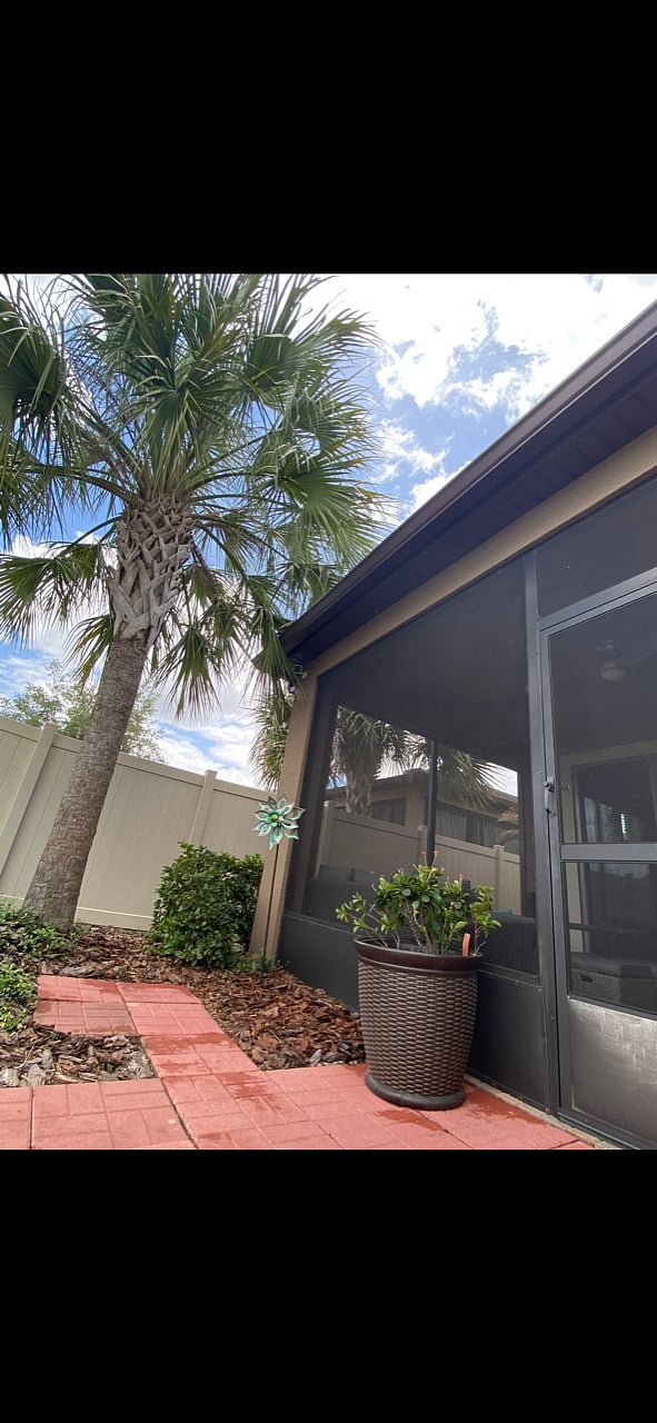 Furnished Finder property 484585_1 photo 40