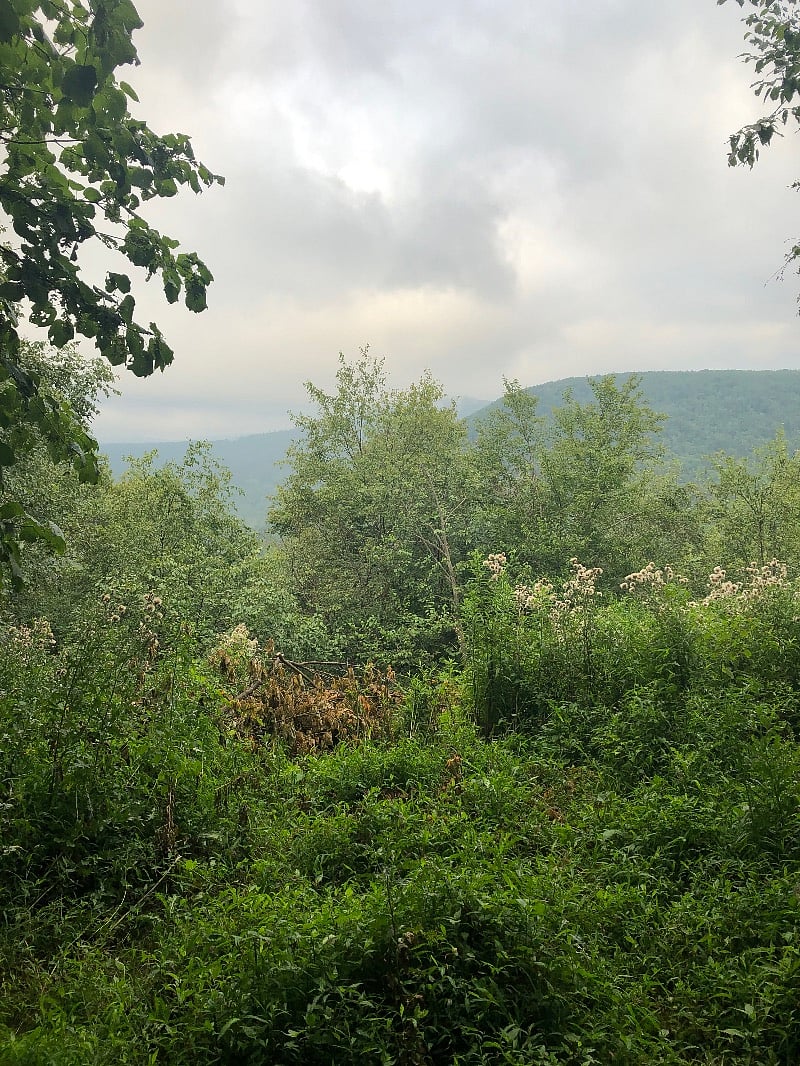 Ridge Road Overlook. Behind #5 on the golf course. Trail and road access