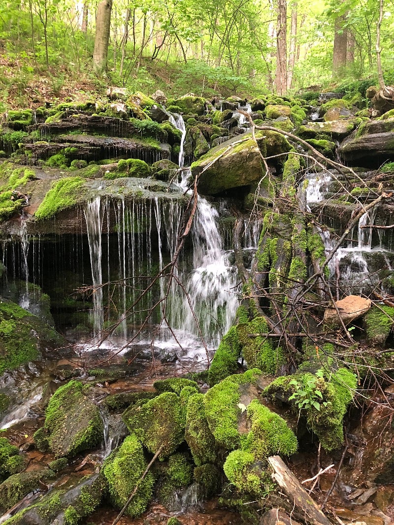 The Mountain View trail does not disappoint. Some fun assents and descents along the way