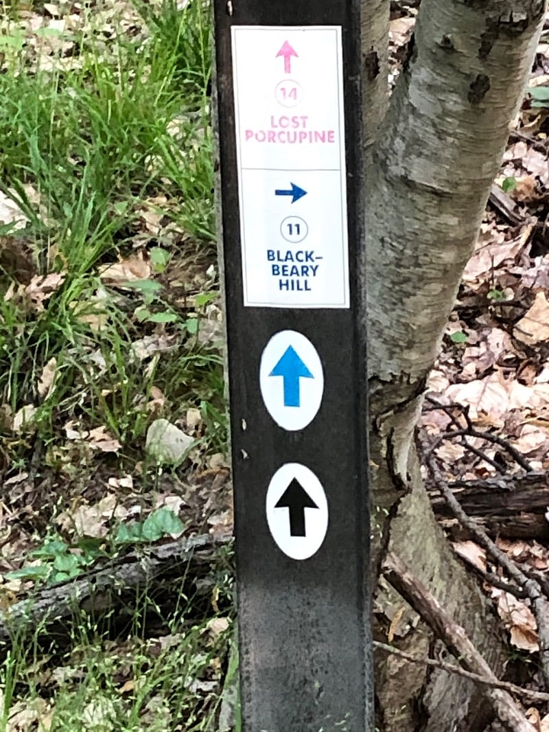 Bring your mountain bike, side by side, trail shoes, or hiking boots