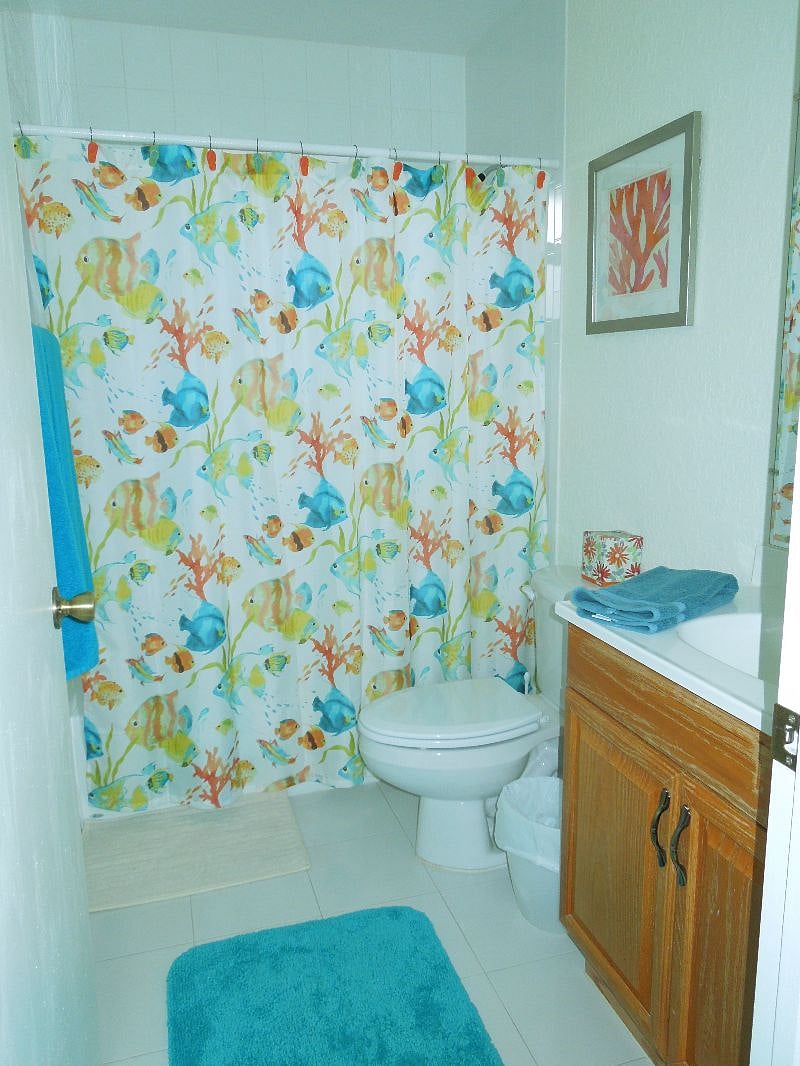 Furnished Finder property 484778_1 photo 5