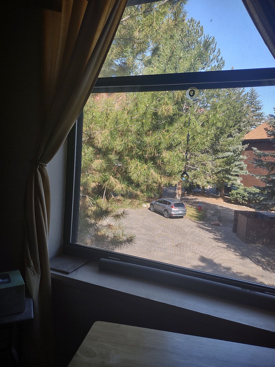 Furnished Finder property 484810_1 photo 9