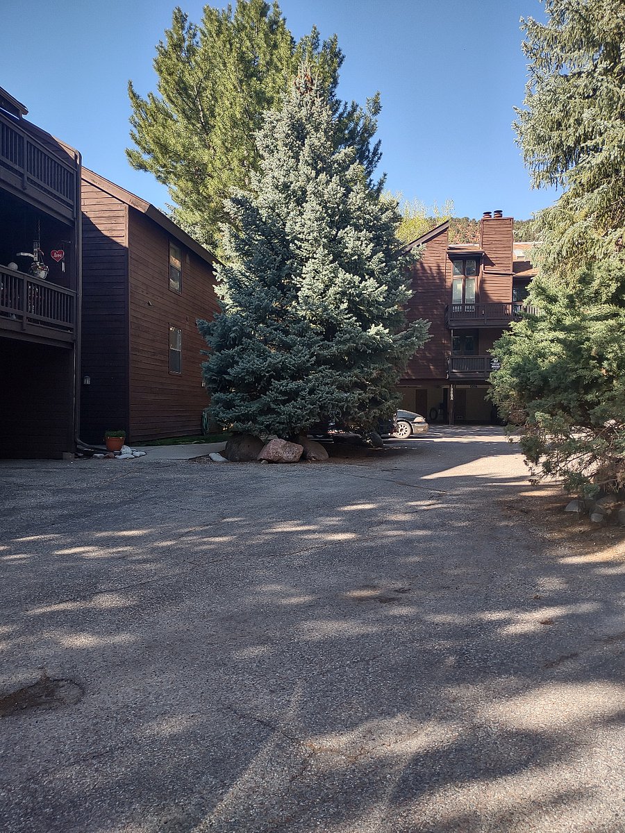Furnished Finder property 484810_1 photo 10