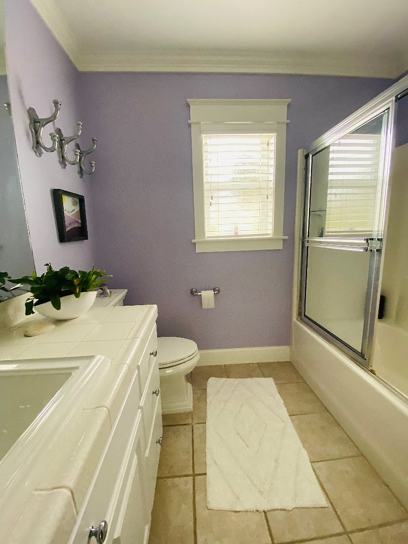 Furnished Finder property 484879_1 photo 11