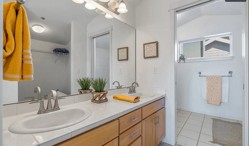 Double vanity sink