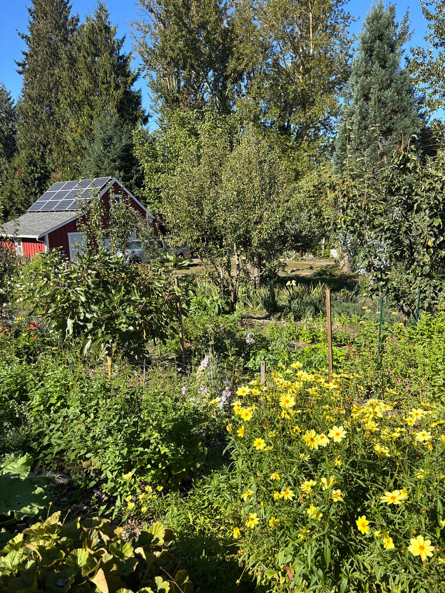 view of the farm from outside the rental