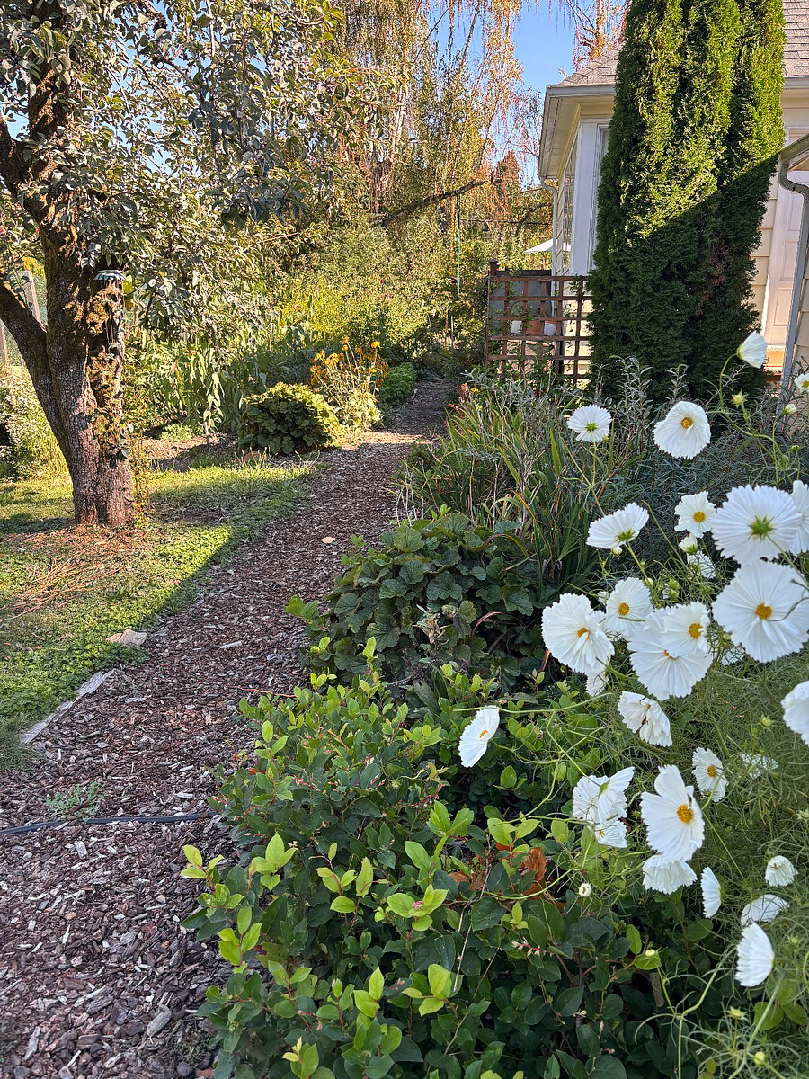 wide mulched path up to the rental unit