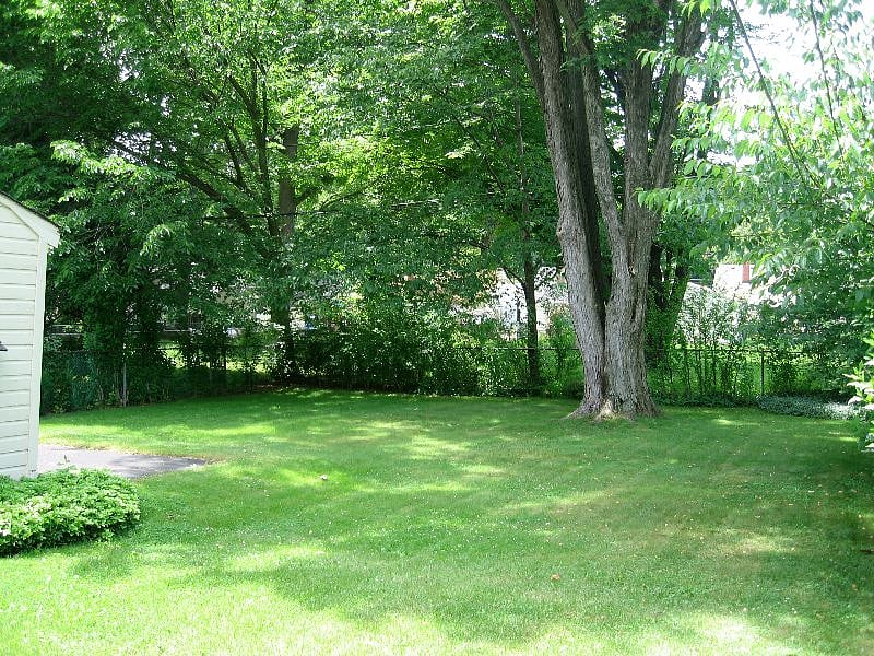 Lush Backyard behind garage is great for well trained pets