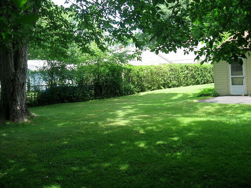 Lush Backyard great for kids and pets.  View from far corner of property behind garage. 