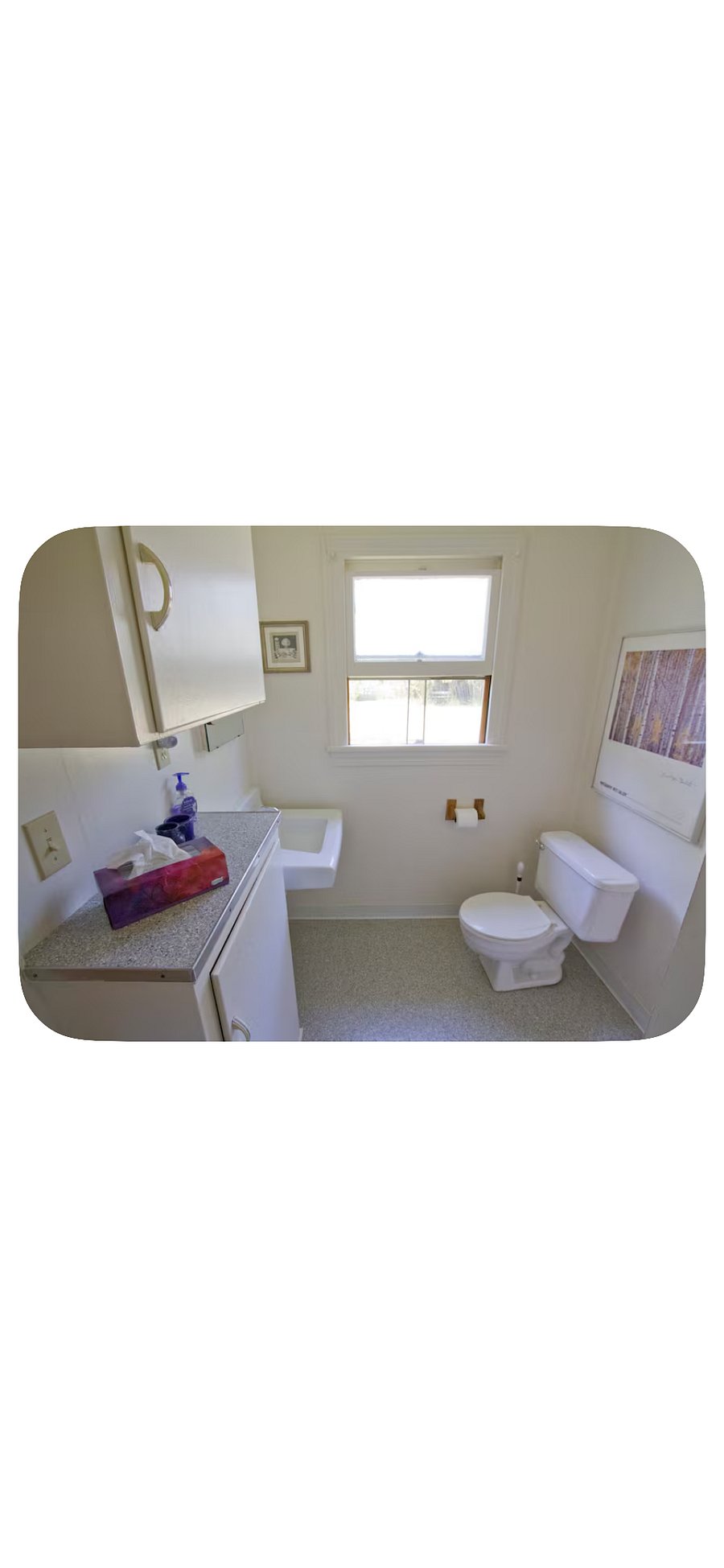 Furnished Finder property 485224_1 photo 7