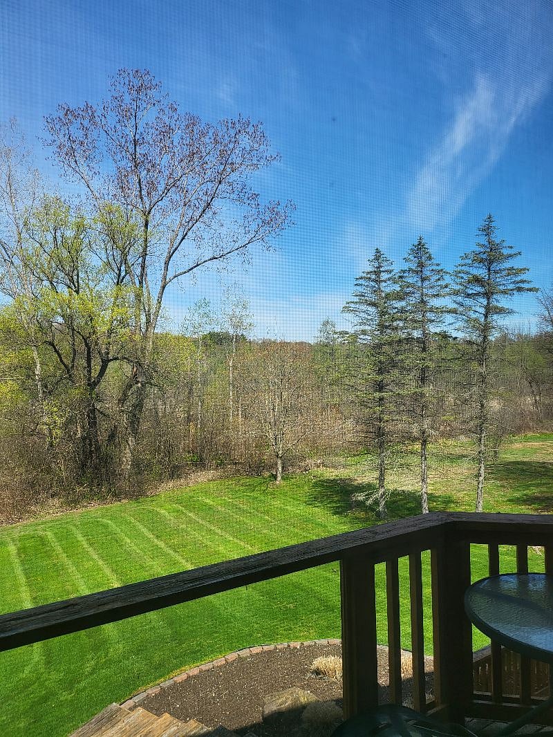 Home backs up to Bald Mountain Park - lots of wildlife and trails to explore