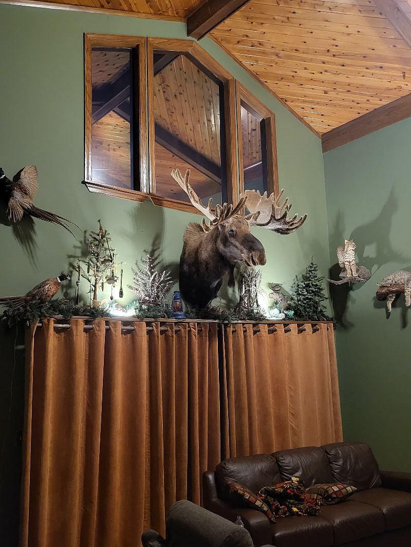Comfortable and Cozy Lodge Atmosphere