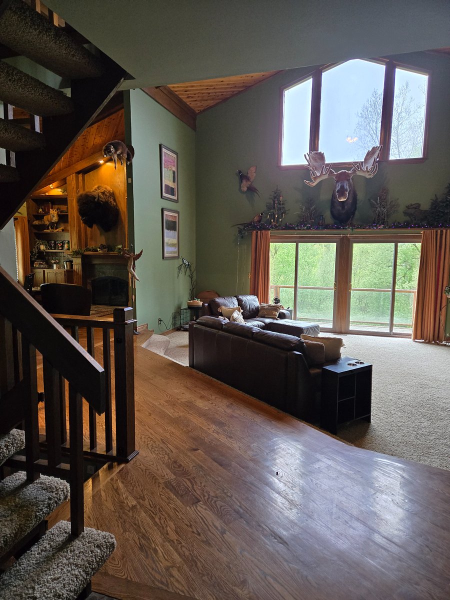 Furnished Finder property 485360_1 photo 4