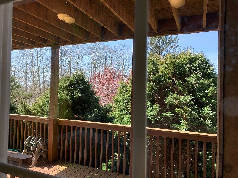 Furnished Finder property 485363_1 photo 18