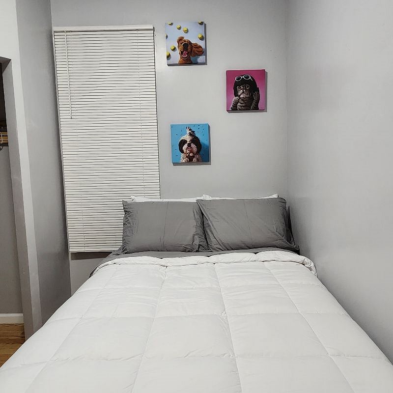 Furnished Finder property 485398_1 photo 22