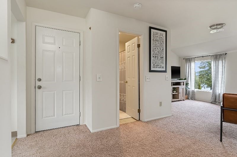 Furnished Finder property 485443_1 photo 14