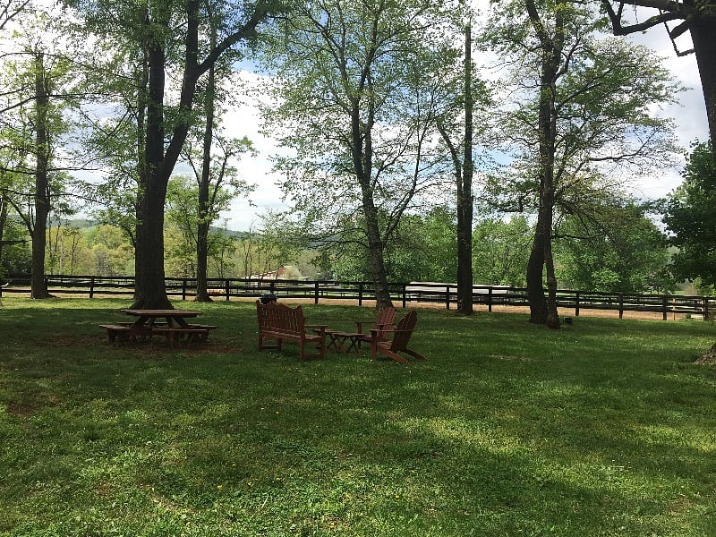 Furnished Finder property 485501_1 photo 22