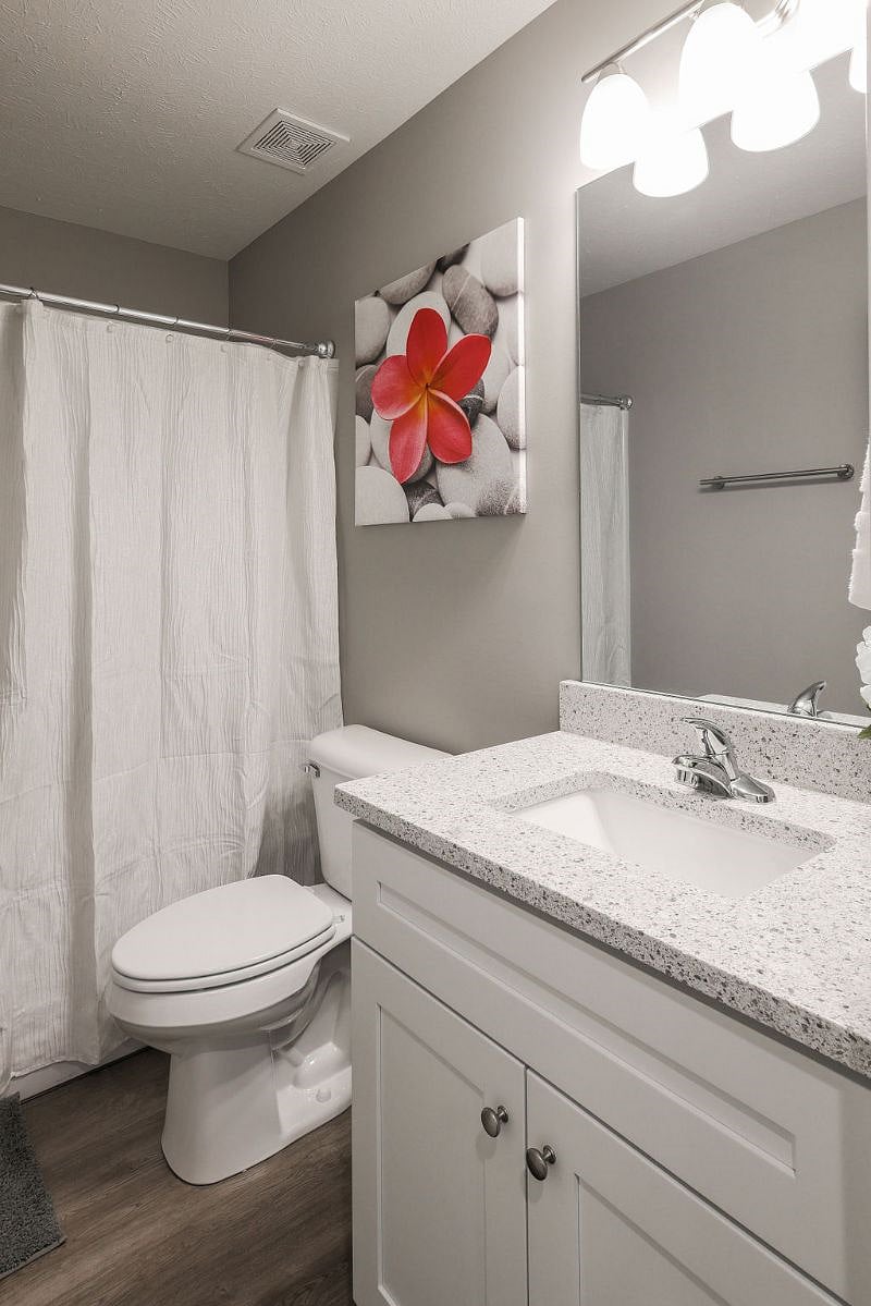 Furnished Finder property 485671_1 photo 52