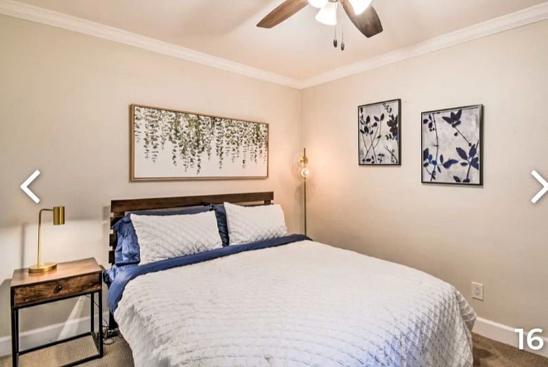 Furnished Finder property 485689_1 photo 9