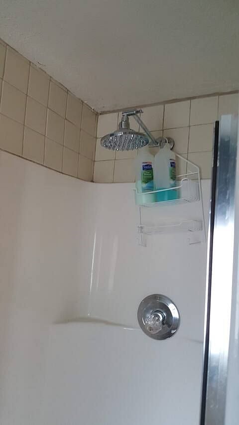Furnished Finder property 485754_1 photo 7