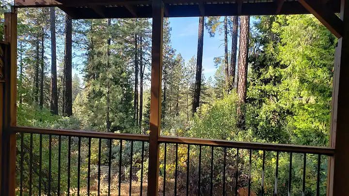 Furnished Finder property 485758_1 photo 22