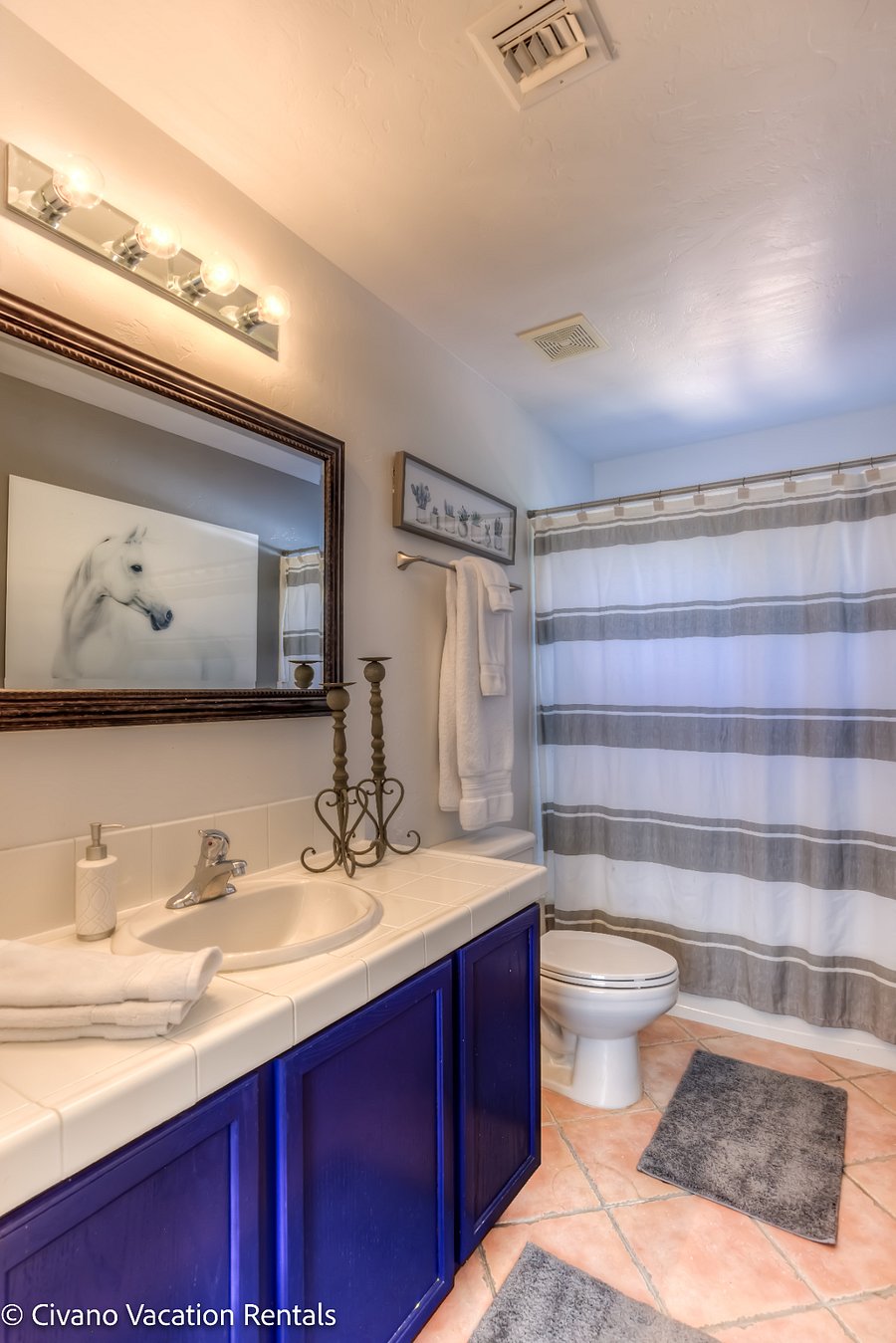 Furnished Finder property 486169_1 photo 18