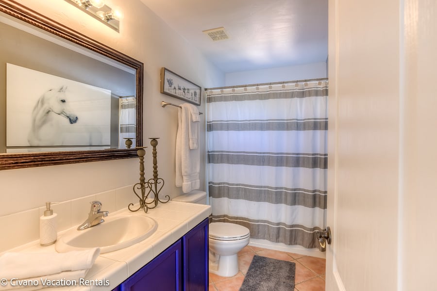 Furnished Finder property 486169_1 photo 17