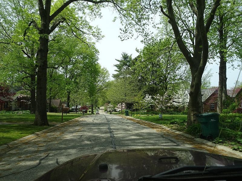 View down June Drive in Spring