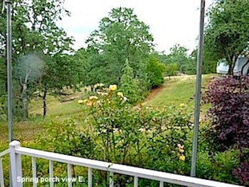 Furnished Finder property 486374_2 photo 6