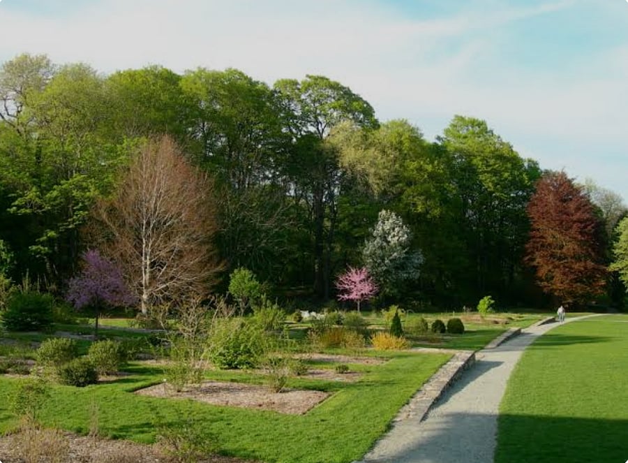 Arnold Arboretum great for nature walks
