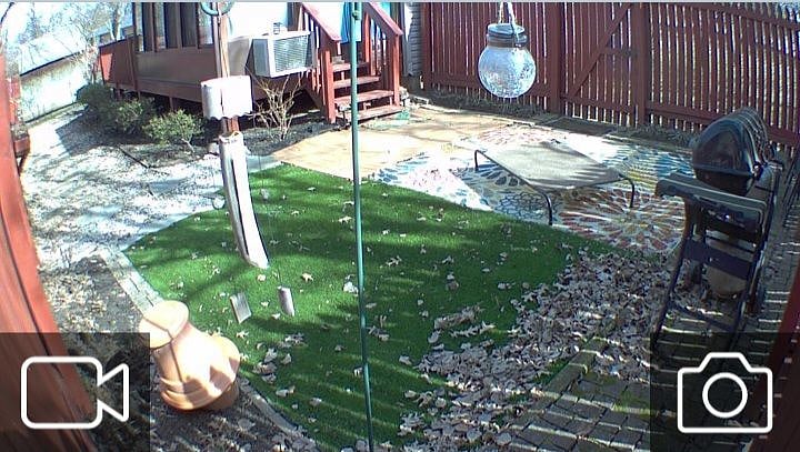 Human and Outdoor dog area with artificial grass, stone walkway and a rug with table and chairs, grill. Privacy fence and entry to yard and home. Flower beds to enjoy in the spring through autumn including daisies because they are my favorite.