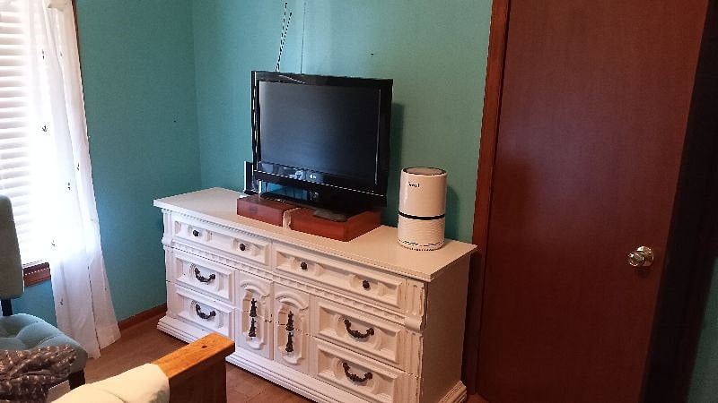 Levoit filter, Echo dot, television