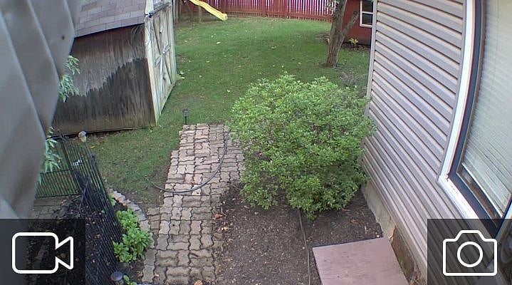 Main back yard to right of house. Wooden privacy fence. Flowers and hostas. Lillies of the valley, daisies.