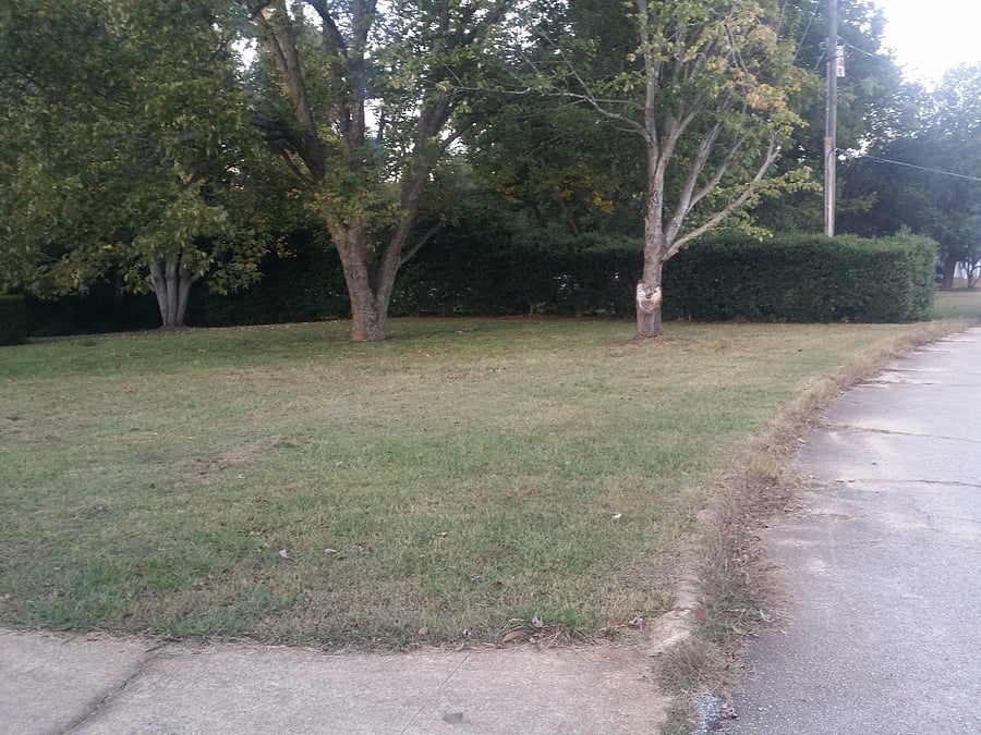 Front Yard and street parking
