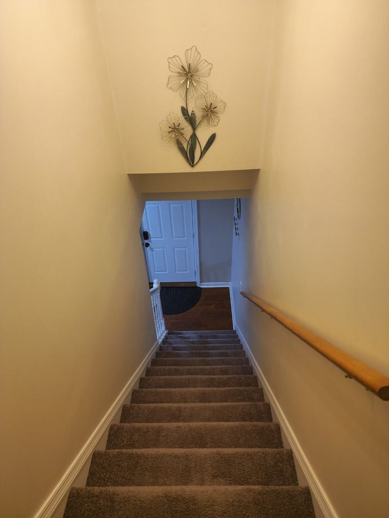 Furnished Finder property 486648_1 photo 30