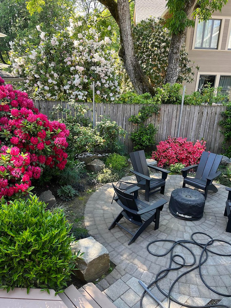 Backyard.
