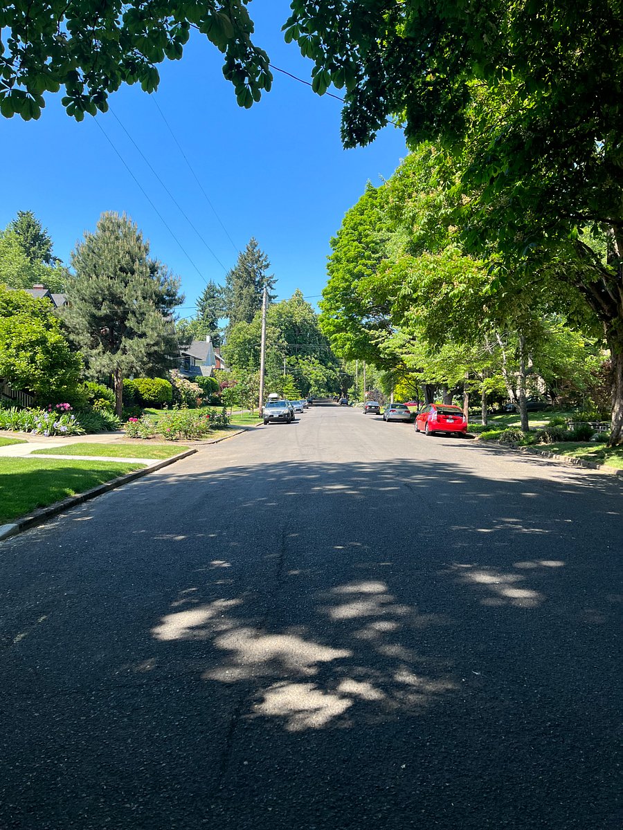 Our street.
