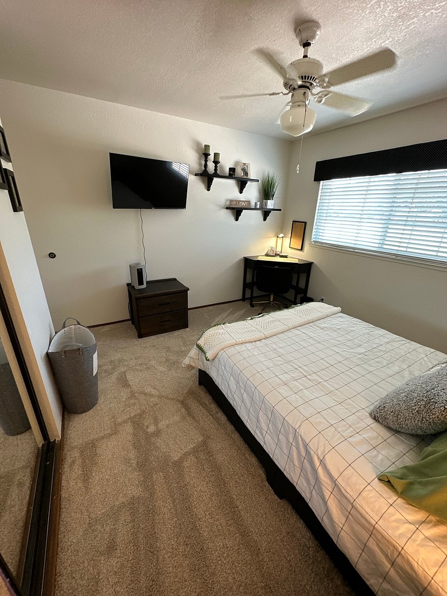 Furnished Finder property 486730_1 photo 3